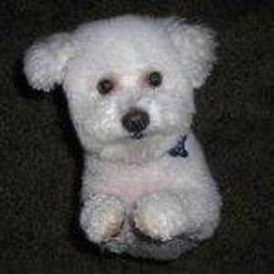 Meet your Posher, Arthur